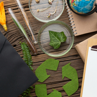 ������� �������������� �������������� ������� � ��������� �����������, ����������� ���������� ����������� �� ���������� ����� - ����  "����� �� ���"<p style="text-align: right;"><span style="color: #ff0000;"></span>