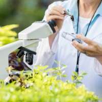 ������������ �������. ���������� � ������ ����. ����������� ������������. �������. ��������. ����� - ����  "����� �� ���"<p style="text-align: right;"><span style="color: #ff0000;"></span>