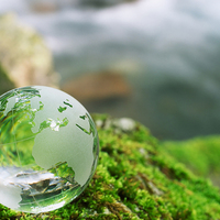 �������������� ���������������� ����������� ������������ ������������� ������������ �������������� � ������������� ����������������� ������ ����������� - ����  "����� �� ���"<p style="text-align: right;"><span style="color: #ff0000;"></span>