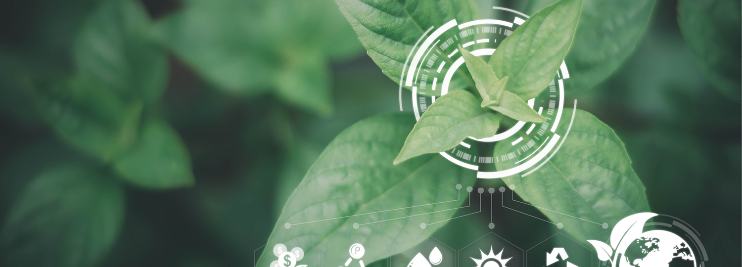 ������ ���� ������ �� ��λ  �� ����������� ������� ���������� ������ �������� �� ����: ������������������ � ������������� ������ �������� ���� ����, �����, �������