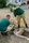 ���������� ��������� ���������� ����� �� ��� ������� ������� �� ����������� �������� � ��������� �� ���������� ������������ ������� - ����  "����� �� ���"<p style="text-align: right;"><span style="color: #ff0000;"></span>