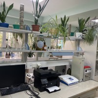 �. ��������