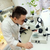 �. ���������