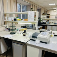 �. ������ �����