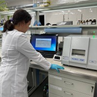 �. ����� �������