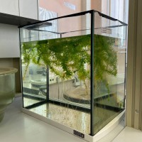 �. ������������