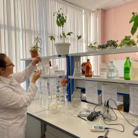 �. ������������